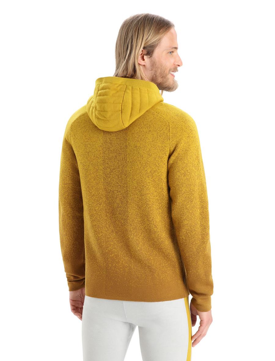 Men's Icebreaker ZoneKnit™ Merino Insulated Long Sleeve Zip Into the Deep Hoodie Clove / Silent Gold | CA 1688KORI